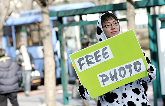 '광우병 소와 함께 기념 사진을 찍으세요~'쌀쌀해진 날씨 한적해진 도심 거리에서 한의대생이 캠페인을 할 시민들을 찾고 있다. [사진-통일뉴스 김주영 기자]