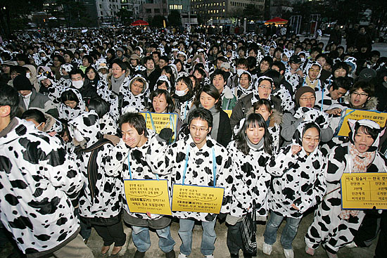 한미FTA 6차협상 서비스 분야에서 한국의 한의사와 미측의 침구술사의 상호 자격인정을 본격 논의하기로 한 가운데 12일 오후 5시 전국에서 올라온 한의대생 3천명이 '광우병 소' 옷을 입고 한미FTA반대 결의대회를 진행하고 있다. [사진-통일뉴스 김주영 기자]