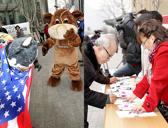 '에잇~ 미국소 받아라!' 행사장 한켠에서는 한우와 미국산 소가 대결을 벌이는 퍼포먼스가 진행되고 있다.(왼쪽)한우 불고기 시식 후 '한미FTA저지 범국민서명운동'에 동참하고 있는 시민들.(오른쪽) [사진-통일뉴스 김주영 기자]