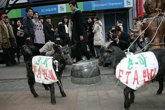 '한미FTA반대염소'를 지켜보고 있는 시민들. [사진-통일뉴스 김주영 기자]