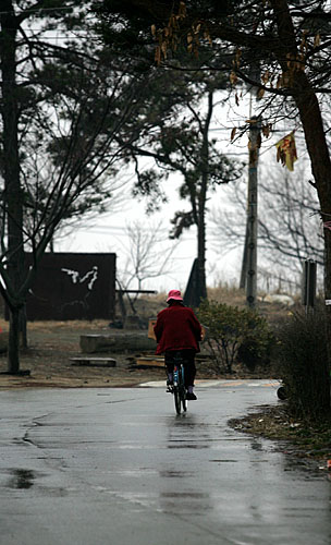 대추리주민 한명이 자전거를 타고 빗길 속을 유유히 지나고 있다. [사진-통일뉴스 김주영 기자]
