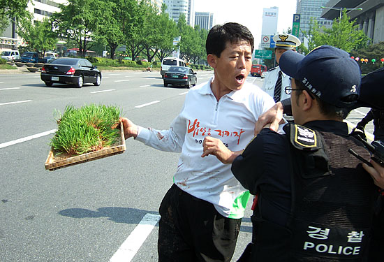 '모판이 있어야 할 곳?' 국회 앞 기자회견을 마친 농민들은 항의서한을 전달하기 위해 정부종합청사로 이동하던 중 세종문화회관 인근에서 경찰에게 제지당하자 모판을 도로에 던지며 거세게 항의했다.  [사진-통일뉴스 박현범 기자]