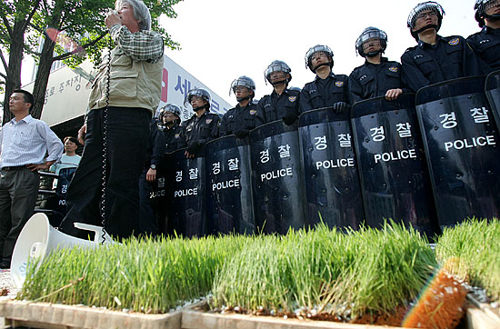 한창 농번기인 5월 초순, 들녘에 뿌리내려야할 모판이 도심 한복판 전경들 앞에 놓였다. [사진-통일뉴스 김주영 기자]