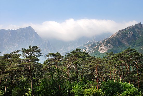 내금강 문필봉에서 바라본 집선연봉의 모습. [사진제공-민족21]