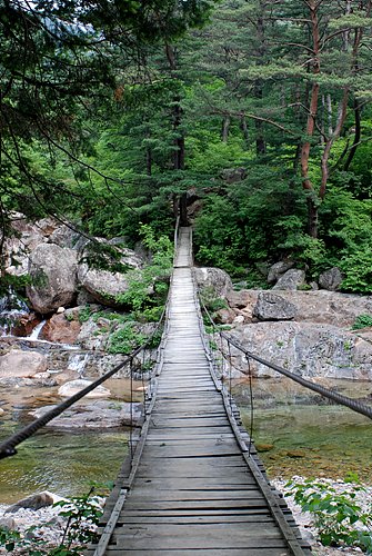 아직은 갈 수 없는 명경대 집입로.[사진제공-민족21]