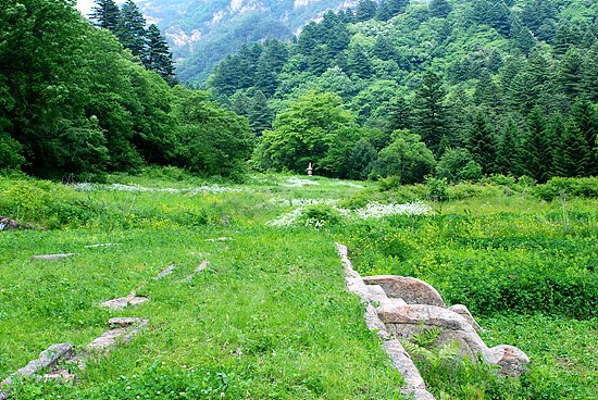 전쟁으로 소실된 금강산의 4대 사찰 중 하나인 장안사(長安寺)터의 모습. [사진제공-민족21]