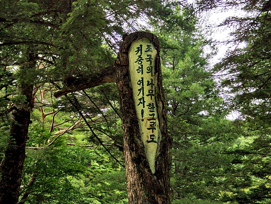 '현대판 구호나무?' [사진-통일뉴스 이계환 기자]