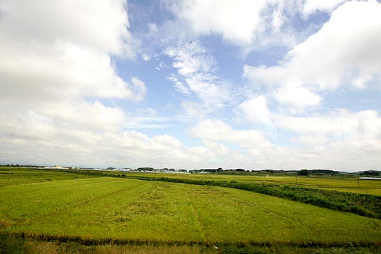 한가위를 하루 앞둔 24일, 호남평야의 가을들녘이 황금빛으로 물들었다. [사진-통일뉴스 김주영 기자]