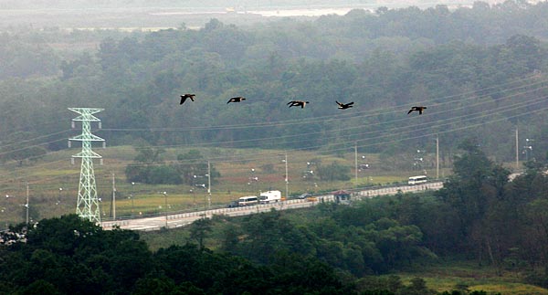 '2007 남북정상회담' 첫날인 2일 오전, 군사분계선 인근 비무장지대 위로 철새들이 날아들고 있다. [사진-통일뉴스 김주영 기자]