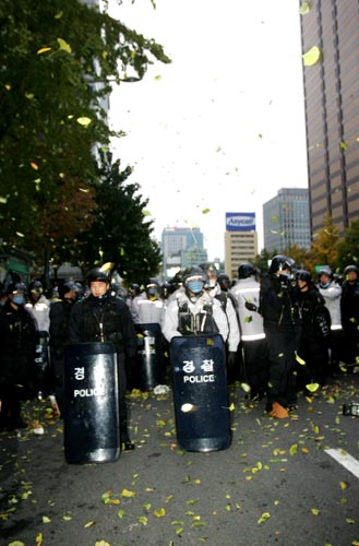 경찰헬기의 저공비행으로 낙엽이 휘날리고 있다.[사진-통일뉴스 김주영 기자]