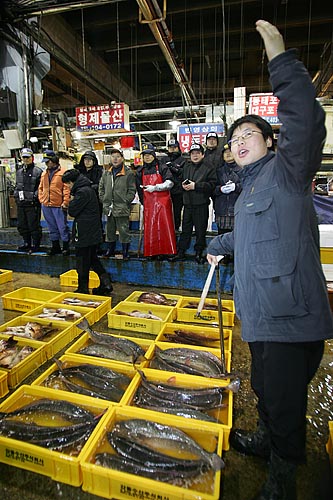 2일 새벽 4시경, 가락시장의 올해 첫 활어경매가 한창이다.[사진-통일뉴스 김주영 기자]