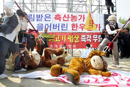 수입쇠고기 전면개방 반대를 위한 퍼포먼스. [사진-통일뉴스 조성봉 기자]