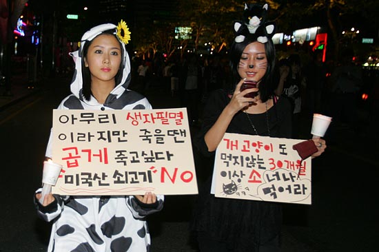 광우병 쇠고기 복장으로 청계광장을 돌아다니고 있는 학생들.[사진-통일뉴스 조성봉 기자]