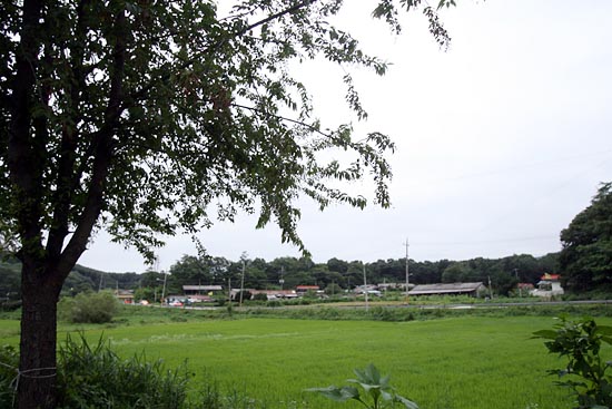 평화롭게만 보이는 오현리 마을.그러나 국방부가 훈련장 확장을 위한 토지 강제수용에 박차를 가하고 있어 주민들의 불안감은 더욱 커지고 있다.[사진-통일뉴스 조성봉 기자]