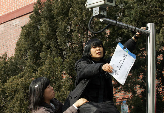 청와대 부근 담에 올라간 한 유가족이 CCTV기둥에 손목을 묶은 뒤 항의서한을 직접 전달하기 전에는 내려가지 않겠다고 항의하고 있다. [사진-통일뉴스 조성봉 기자]
