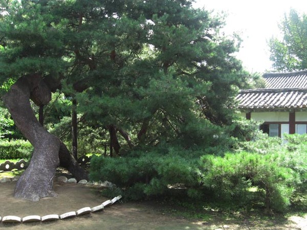 함흥반송 [캡쳐사진-노동신문]