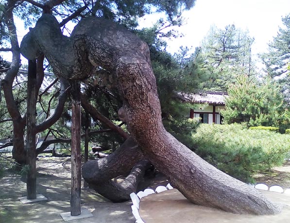 함흥반송의 또 다른 모습 [캡쳐사진-노동신문]