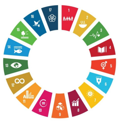 SDGs 17개 목표 영역 [사진-Democratic People’s Republic of Korea Voluntary National Review 갈무리]