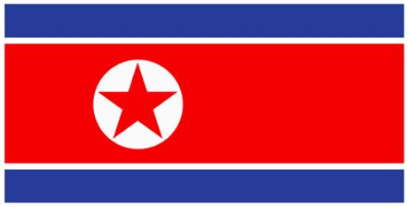 북한의 국기인 '공화국기'. [사진-조선의 오늘 캡처]