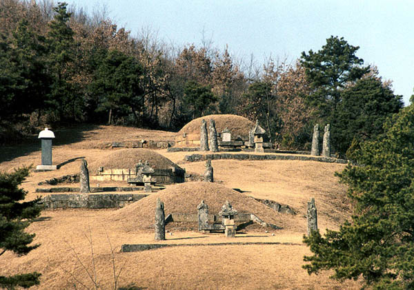 음성 권근 삼대 묘소 및 신도비(陰城 權近三代墓所 및 神道碑). 고려말 조선초의 문신이며 학자였던 안동권씨(安東權氏) 양촌(陽村) 권근(權近, 1352∼1409)과 선생의 아들 권제(權踶, 1387~1445), 손자 권람(權擥, 1416~1465)의 3대의 묘소이다. ‘충북 음성군 생극면 방축리 산7’에 있는데, 1980년 1월 9일, 충청북도 기념물로 지정되었다. 3기의 묘 앞에 모두 각각의 묘비, 장명등(長明燈), 문인석 1쌍이 세워져 있다. [사진출처 - 문화재청]권근은 대제학을 올랐으며, 왕명을 받아 경서의 구결(口訣)을 저정(著定)하고, 문장이 뛰어나 하륜(河崙) 등과 함께 『동국사략(東國史略)』(1402년) 등 조정의 각종 편찬(編纂) 사업에 참여하였다. 그의 둘째 아들 권제(1387∼1445)는 우찬성의 벼슬에 올랐고 『고려사(高麗史)』 편찬에 참여했으며 『용비어천가(龍飛御天歌)』를 지었다. 손자 권람(1416∼1465)은 어려서부터 독서를 좋아하여 학문이 뛰어났고, 과거에 장원급제한 후 여러 관직을 역임하였으며 좌의정의 벼슬에까지 올랐으며, 『어제응제시주』를 편주(編註)하였고, 『동국통감』 편찬의 감수(監修)를 맡았다.