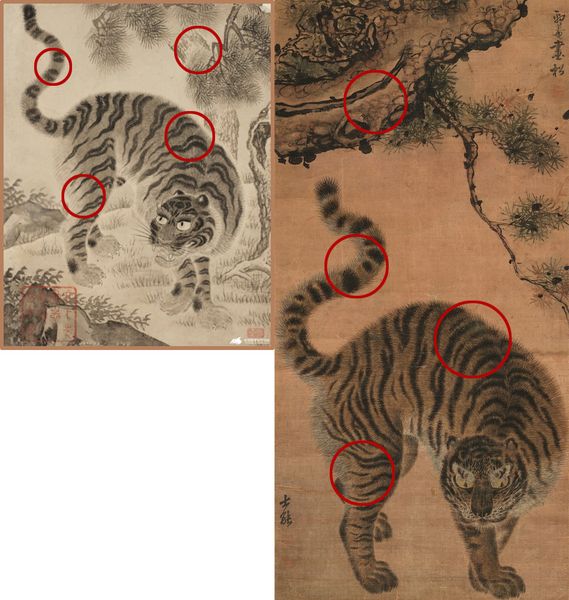 이 작품은 정홍래가 가장 왕성하게 활동하던 숙종 연간에 그렸을 것으로 추정한다. 얼굴과 앞다리를 뺀 등과 몸통은 뒷다리, 꼬리는 김홍도의 송하맹호도와 거의 같다. 정홍래의 천재성과 사회적 위치, 김홍도보다 25년이나 나이가 많은 점을 고려한다면, 정홍래가 김홍도의 그림을 베껴 그렸을 가능성은 거의 없다. 따라서 김홍도가 정홍래의 그림을 모방했다고 보는 것이 합리적이다. [사진 제공 - 심규섭]