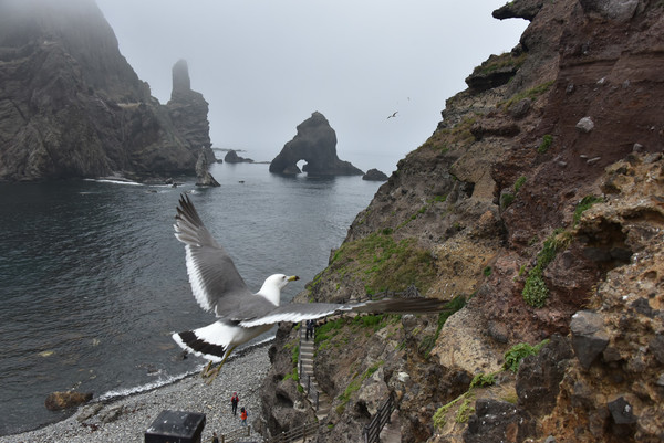 동도에서 내려다 본 몽돌해수욕장