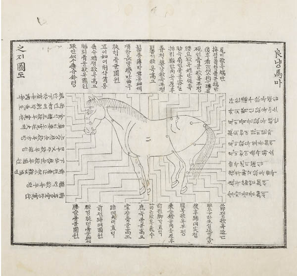『마경언해』, 인조(仁祖, 재위 1623~1649)때 이서(李曙, 1580~1637)의 말의 질병에 대한 수위학서(獸醫學書)로 중국에서 전해온 『신편집성마의방(新編集成馬醫方)』과 마사문(馬師文)의 『마경대전(馬經大全)』 등에서 중요한 것을 뽑아 원문(原文; 漢字)에 주음(注音)과 토(吐)를 달고 한글로 언해(諺解)한 책이다. 본문은 목활자본인데, 사진 부분은 목판에 말 그림을 그려 말의 경혈(經穴)을 표시한 것이다. 서울대학교 규장각 소장본. [사진 제공 - 이양재]