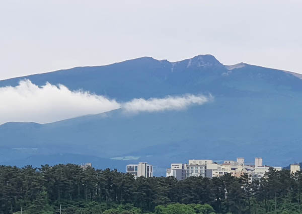 「제주도청으로 올라가는 길에서 본 한라산」, 2022년 5월 26일, 제주도는 자연 풍광이 곧 작품이다. 많은 작품이 자연 풍광이 주는 감동을 따라가지 못한다. [사진 제공 - 이양재]