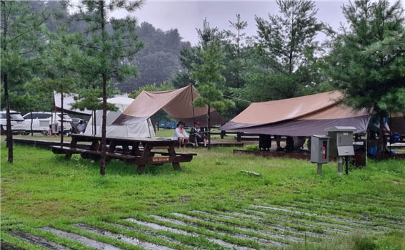 빗속에서 텐트도 치고 식사도 해야 하는데 드디어 제대로 된 장마를 만났다. [사진 - DMZ 국제평화대행진단]