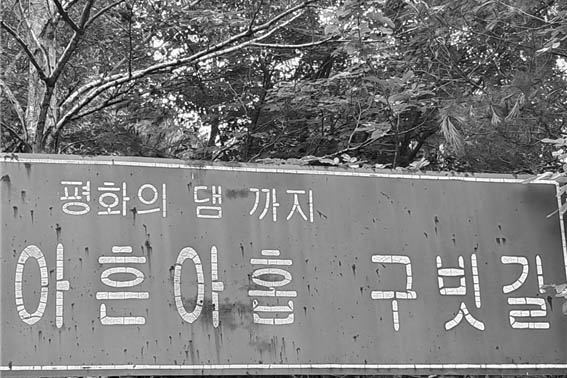 [사진 제공 - DMZ 국제평화대행진단]