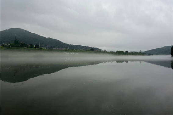 새벽잠에서 깬 단원 몇 명은 김화 화강의 새벽 물안개 자욱한 풍경을 담아왔다. [사진 - DMZ 국제평화대행진단]
