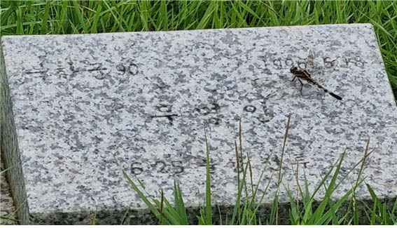 적군묘에 있는 북한군90 '무명인' 묘석. 발견장소는 '6.25 불상 전투'로 표기돼 있다. [사진 - DMZ 국제평화대행진단]