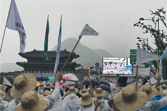 열흘 간의 DMZ 국제평화대행진을 무사히 마친 대행진단은 22일 서울 광화문 일대에서 진행된 정전 70년 한반도 평화대회와 행진에 참가했다. [사진 - DMZ 국제평화대행진단]