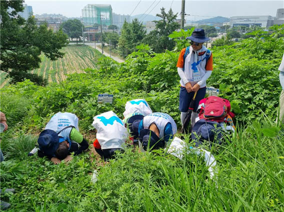 ​상패동 야산은 미군들에게 죽임과 폭력을 당한, 죄 없는 우리 나라의 시민들이 잠든 곳이다. [사진 - DMZ 국제평화행진단]