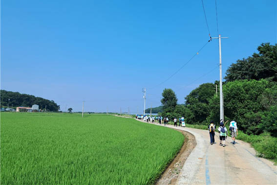 교동대교를 건너 교동도를 걷기 시작했다. [사진 - DMZ 국제평화행진단]