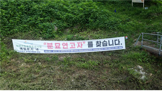 ​미군의 범죄 등으로 희생된 줄리, 소피아 등 수 천 명의 무명 희생자가 묻혀 있는 상패동 야산 공동묘지. [사진 - DMZ 국제평화대행진단]