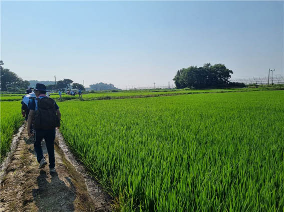 [사진 - DMZ 국제평화대행진단]