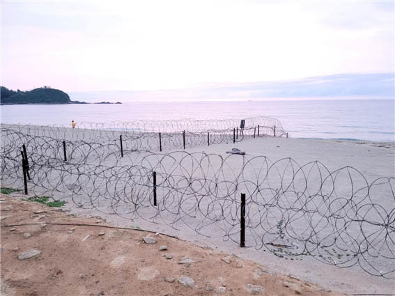 철조망에 허리가 잘려 섬으로 살아온지 80년 세월이 흘렀다. [사진 - DMZ 국제평화대행진단]