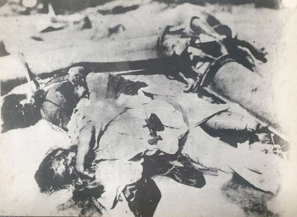 학살된 조선인 사체 2구. 삼을 꼬아서 만든 가는 줄로 묶여 있다. [사진-동농기념사업회 강덕상자료센터 제공]