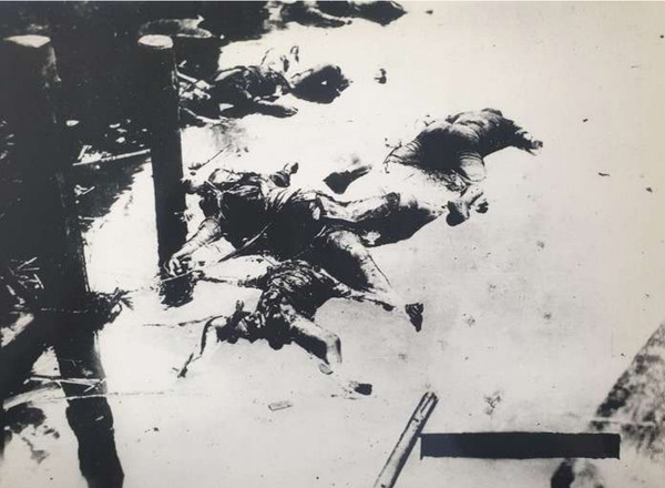 학살된 조선인 사체 5구. 말둑에 묶여 있다. (에이다이바시 부근) [사진-동농기념사업회 강덕상자료센터 제공]