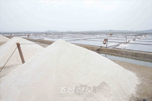 북한 귀성제염소에서 생산된 소금. [사진-조선신보 갈무리]