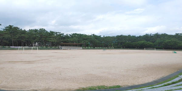 밀양시 삼문동에 위치한 공설운동장의 최근 전경. 해방 이후 밀양에서 거행된 대규모 인민대회는 대부분 이곳에서 열렸다. 군중대회가 열리면 운동장 뒷편 솔밭에는 밀양 전역에서 모여든 인민들이 음식을 나누며 장날의 잔치마당처럼 왁자지껄했다. [사진 제공 – 안영민]