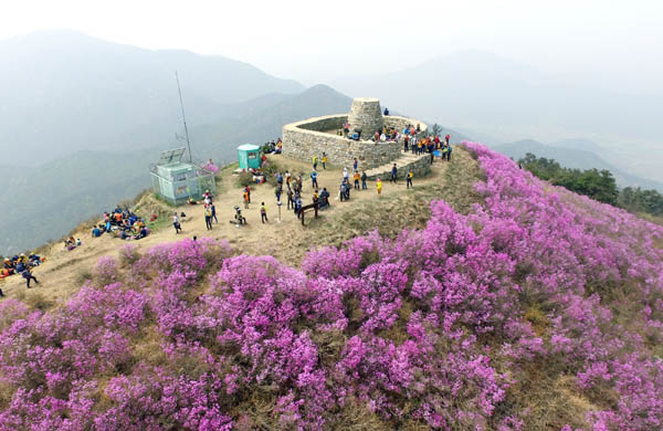 종남산 정상 봉화대. [사진 제공 - 안영민]