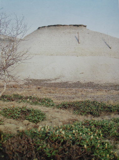 백두산 부석층과 매몰목 [사진-내나라 갈무리]