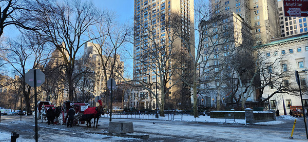 손님을 기다리는 관광마차 [사진-임영태]