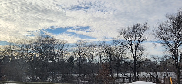구겐하임 미술관 휴게실에서 바라본 센트럴 파크 풍경 [사진-임영태]