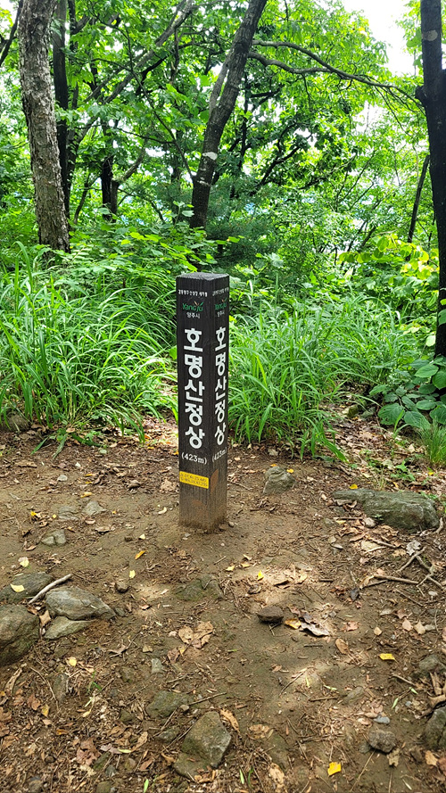 호명산. [사진 제공-통일뉴스백두대간종주대]