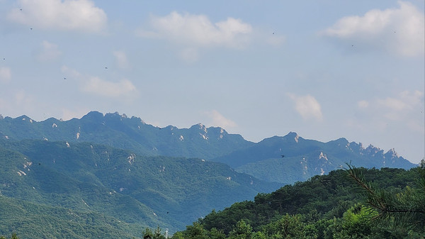 가야할 길. [사진 제공-통일뉴스백두대간종주대]