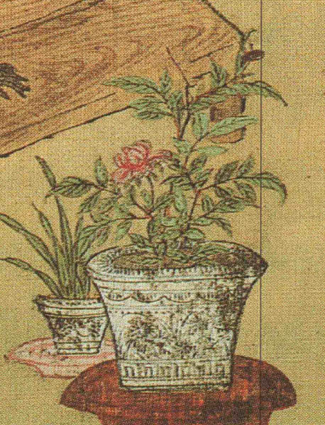 겸재가 보는 꽃, 이 꽃이 작약이다. [사진 제공 – 심규섭]