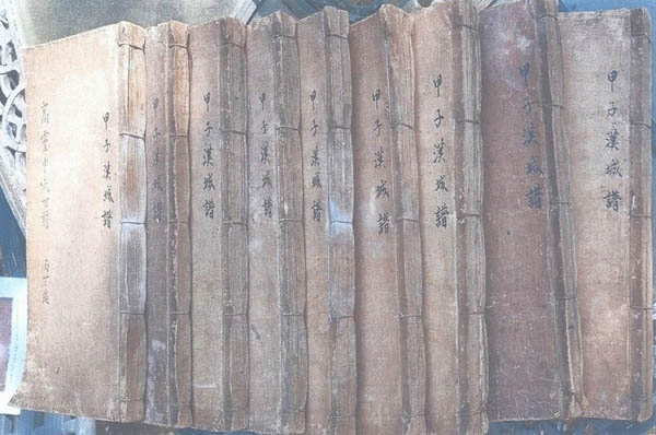 1804년에 간행된 고령신씨 한성보 9권. [사진 제공 – 이양재]